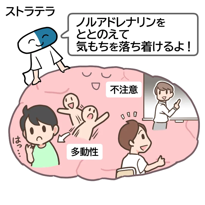 ストラテラの働き