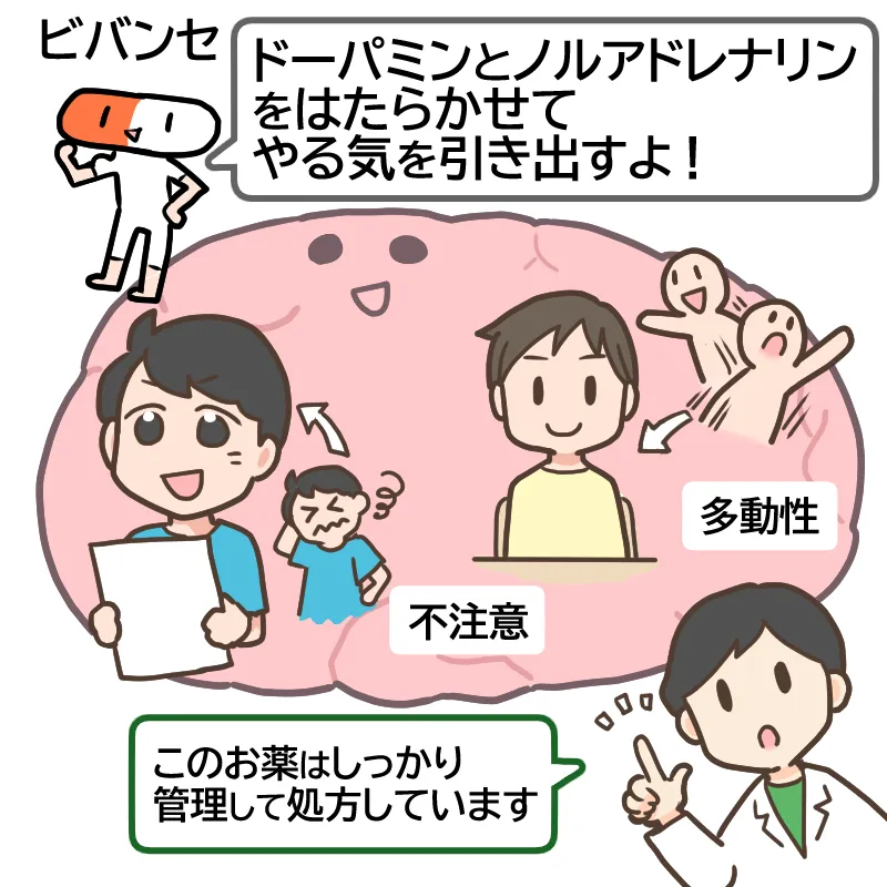 ビバンセの働き