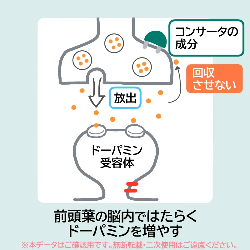 コンサータの作用機序