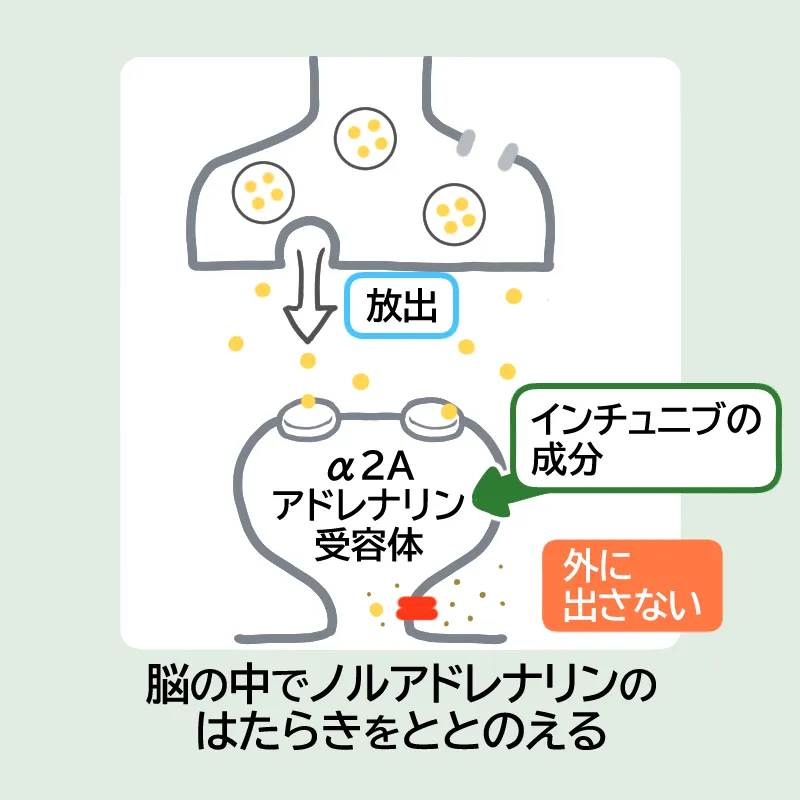 インチュニブの作用機序