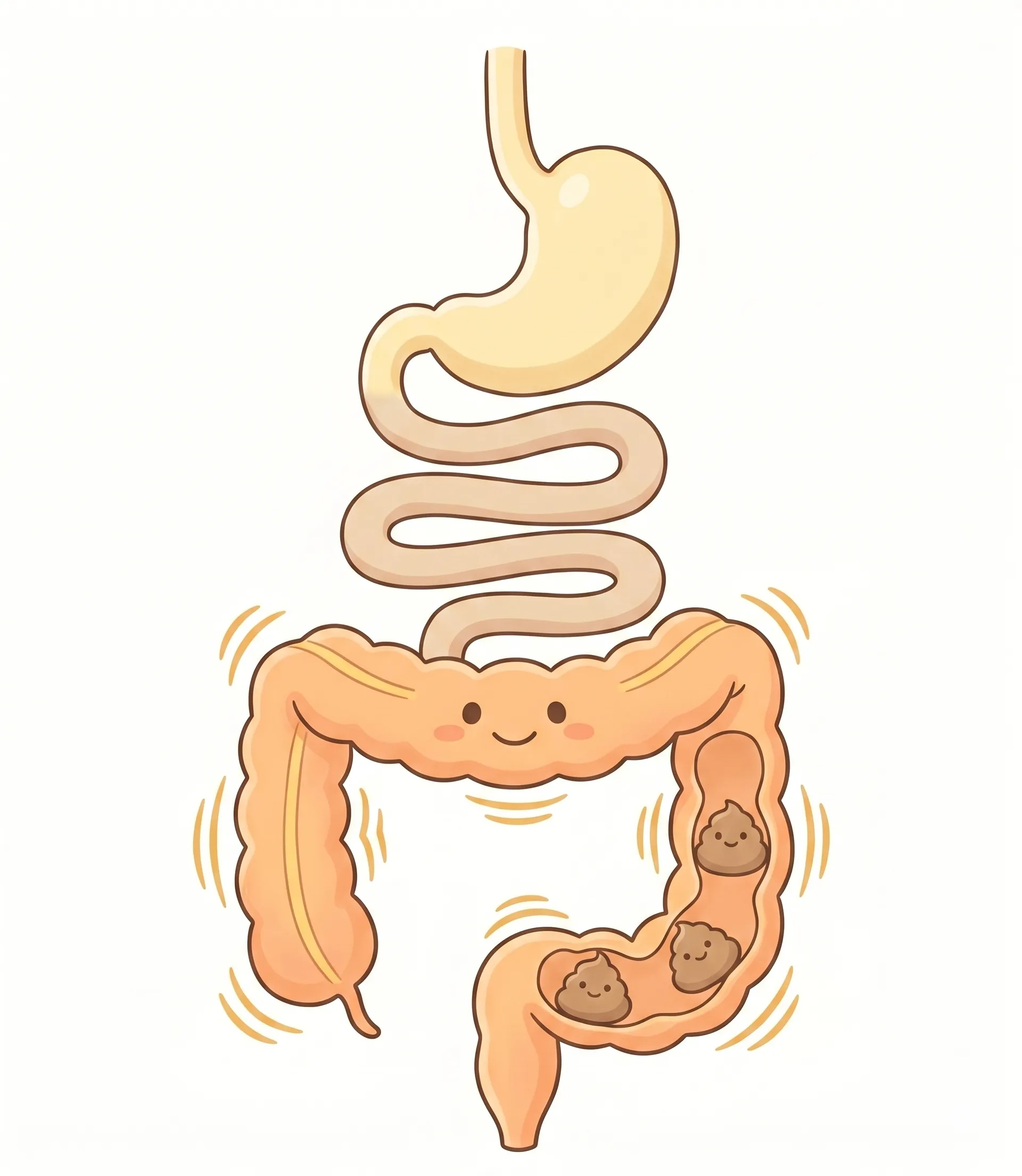 小児便秘症の説明