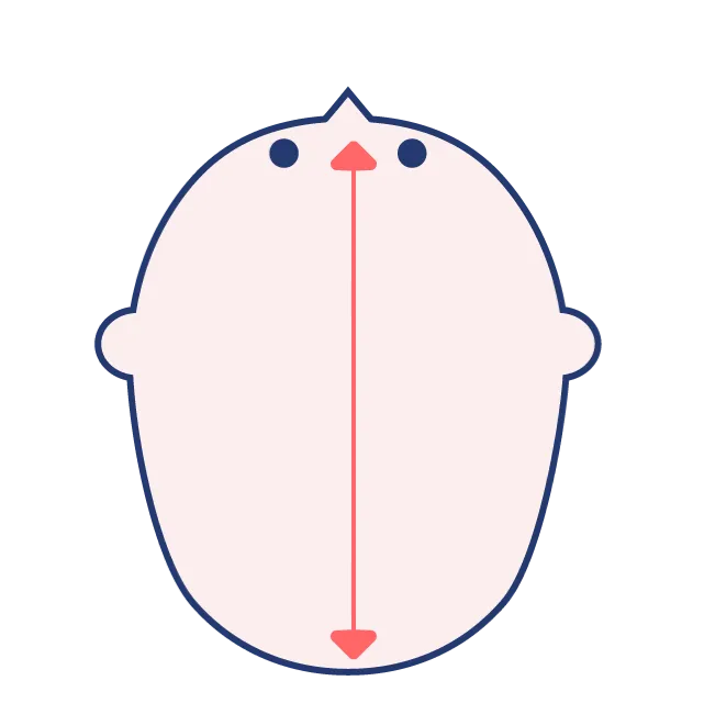 大頭症の図解