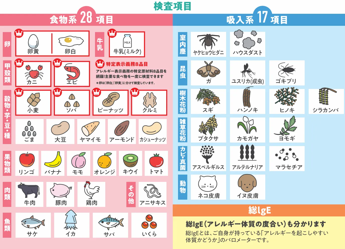 アレルギー項目一覧